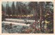 Cartolina Illustrata Piccole Cascate Fiume Alberi Fiori 1933 - Non Classificati