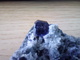 Fluorite Bleue Et Quartz, Fujian, Chine. 40 Grammes. 7 X 4 X 2,5 Cm - Mineralien