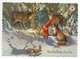 Postal Stationery RED CROSS  Finland - Artist:RAIMO PARTANEN - GNOME - DEER - FOREST ANIMALS - Postage Paid - Postwaardestukken