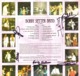 * LP *  BOBBY SETTER BAND - INTERNATIONAL + Cover A TOUCH OF COUNTRY (both Hand-signed By The Whole Band) - Country & Folk