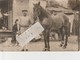 Un Homme Avec Son Cheval En 1931 , Camp De Romanichels  ?      ( Carte-photo ) - A Identifier