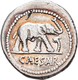 Gaius Iulius Caesar (49/48 V.Chr.): AR-Denar 49-48; 3,94 G, Elefant Nach Rechts Gehend, Eine Schlang - Repubblica (-280 / -27)