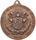 Medaillen Deutschland: Löwenberg/Schlesien: Bronzemedaille 1913, Unsigniert, Auf Die Jahrhundertfeie - Sonstige & Ohne Zuordnung