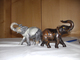 Delcampe - Varia, Sonstiges: EDELSTEIN-ELEFANTEN: Unglaubliche Sammlung Von 122 Herrlichen Elefantenfiguren Aus - Otros & Sin Clasificación
