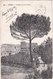 Italie / ROMA / ROME/ Colosseo Visto Dal Palatino - 1904 - Carte Précurseur - Colisée