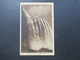 USA 1922 Nr. 255 MeF (senkrechtes Paar) AK Niagara Falls Ontario Stempel Rochester Nach Hof A / S - Cartas & Documentos