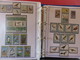 Delcampe - OISEAUX ALBUM N°2 : Belle Collection De TP** Et BF** - Origine : Près De 160 Pays - Années 1971 à 1980 - Collections, Lots & Séries