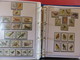 Delcampe - OISEAUX ALBUM N°2 : Belle Collection De TP** Et BF** - Origine : Près De 160 Pays - Années 1971 à 1980 - Collections, Lots & Séries