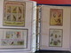 Delcampe - OISEAUX ALBUM N°2 : Belle Collection De TP** Et BF** - Origine : Près De 160 Pays - Années 1971 à 1980 - Collections, Lots & Séries