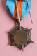 MEDAILLE MINISTERE DU TRAVAIL(medaille D Honneur Des Assurances Sociales) - Other & Unclassified
