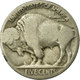 Monnaie, États-Unis, Buffalo Nickel, 5 Cents, 1936, U.S. Mint, Philadelphie - 1913-1938: Buffalo