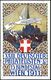 ÖSTERREICH 1913 (22.7.) PP 5 H. KFJ-Jubil., Grün: XXIII. DEUTSCHER PHILATEL.TAG WIEN 1911 (= Brieftaube, Stephansdom) Be - Expositions Philatéliques