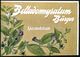 WERNIGERODE/ Ysatfabrik 1930 (16.9.) AFS Auf (halber) Color-Reklame-Kt: Belladonnysatum Bürger.. Spasmolytikum (Belladon - Medicina