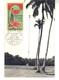 CPM  - . Cinquantenaire  Première  Liaison Radio Tahiti-France  .1er Jour 29/12/1965.  Carte N° 0415/1000- - Polynésie Française