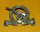 INSIGNE ARTILLERIE D'UN PAYS ETRANGER, FABRICANT SANS ,HOMOLOGATION SANS,  BON ETAT VOIR PHOTO  . POUR TOUT RENSEIGNEMEN - Army