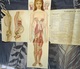 Delcampe - Vieux Port Folio - BILZ Anatomie Du Corps Humain Grand Modèle Démontable De La Femme En Cours De Gestation Planche Anato - Gezondheid