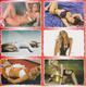 @CALENDAR - EROTIC - NUDE WOMAN - SET OF 6 POCKET CALENDARS - 2013 - BULGARIA - Kleinformat : 2001-...