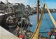 50 Saint Vaast La Houque Le Port (2 Scans) - Saint Vaast La Hougue