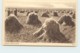 1932 Sepia View Card - Oatfield, Western Canada  #459 Unused - 1903-1954 Reyes