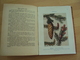 Delcampe - Encyclopédie Pratique Du Naturaliste - Les Arbres, Arbustes Et Arbrisseaux Forestiers - Tome I -1932 - Encyclopédies