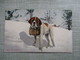 CPA CHIEN SAINT BERNARD BARRIQUE  BERNHARDINERHUND - Chiens