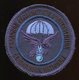 Gendarmerie - Escadron Parachutiste D'Intervention - Policia