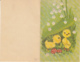 78937- DUCKLINGS, FLOWERS, MUSHROOMS, 2 PARTS FOLDED, EMBOSSED - Mushrooms