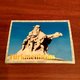 Delcampe - Collectible FULL SET Original Postcards Of Turkmenistan Set 100 Pcs - Welt