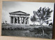 (P) PAESTUM - TEMPIO DI NETTUNO - FRONTE - NON VIAGGIATA - Grecia