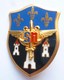 INSIGNE SN CENTRE DU SERVICE NATIONAL DE TOURS - LR PARIS G 4786 - Esercito