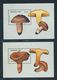 Delcampe - Bhutan 1989, "mushrooms", 6 Stamps + 8 Miniatur Sheets, Superb (91208 - Bhutan