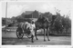 Camel Water Cart Nr 2 Aden Yemen - Yémen