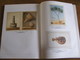 Delcampe - HENRI-JOSEPH REDOUTE & L'Expédition De Bonaparte En Egypte Régionalisme Peintre Animalier Botanique Archéologie Napoléon - History