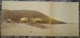 VIETNAM Grande Photographie C. 1880 Panorama Baie Des Cocotiers Cap Saint Jacques VUNG TAU Photo Indochine Cochinchine - Anciennes (Av. 1900)