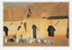 Mauritanie Chinguetti Prière à La Mosquée (2 Scans) - Mauritanie