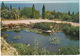 Blanes - Fundación Carlos Faust - Jardin Botánico 'Marimurtra' - (Gerona, Espana/Spain) - 1977 - Gerona