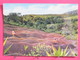 Ile Maurice - Mauritius - Terres De Couleurs Uniques Au Monde - Joli Timbre - Scans Recto-verso - Maurice