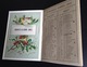 Delcampe - Parfum Rimmel Ravissant Almanach Calendrier 1888 Saisons Sapin NOEL Angelot Enfants Chaix Cheret - Kleinformat : ...-1900