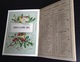 Delcampe - Parfum Rimmel Ravissant Almanach Calendrier 1888 Saisons Sapin NOEL Angelot Enfants Chaix Cheret - Small : ...-1900