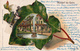 CPA - LUXEMBOURG - MONDORF-LES-BAINS - ENTREE Du PARC CARTE GAUFFREE FANTAISIE FEUILLE DE LIERE - 1905 - Mondorf-les-Bains