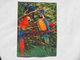 3d 3 D Lenticular Stereo Postcard Parrots  Toppan Japan 1976   A 190 - Cartes Stéréoscopiques