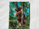 3d 3 D Lenticular Stereo Postcard Koala Bears  1969   A 190 - Cartoline Stereoscopiche