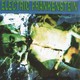 ELECTRIC FRANKENSTEIN - Teenage Shutdown - 45t - Rock