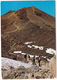 Tenerife - Ascendiendo Al Teide / Climbing The Teide / Montant Au Teide  - (Espana/Spain) - Tenerife