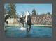 ANIMAUX - ANIMALS - KILLER WHALE AND DOLPHIN AT VANCOUVER PUBLIC AQUARIUM - PHOTO BY JURGEN VOGT - Fish & Shellfish