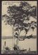 CONGO BELGE. LA LUKULA. ARBRE à COPAL  CIRCULEE 1912 KINSHASA à BELGIQUE ; Staat Zie 2 Scans ! - Postwaardestukken