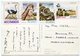 Mocambique - Postcard - Carte Postale - Mozambique