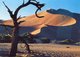 Namibia - Postcard - Carte Postale - Namibia (1990- ...)