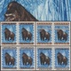 Rwanda 1964 COB 57. 8 Timbres En 4 Paires. Essais De Surcharges. Singe, Gorille - Gorilla's