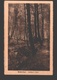 Mullerthal - Bölleger Bach - 1927 - Muellerthal